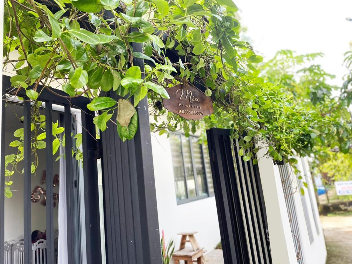 Mia Homestay Hội An Ngoại thất bức ảnh